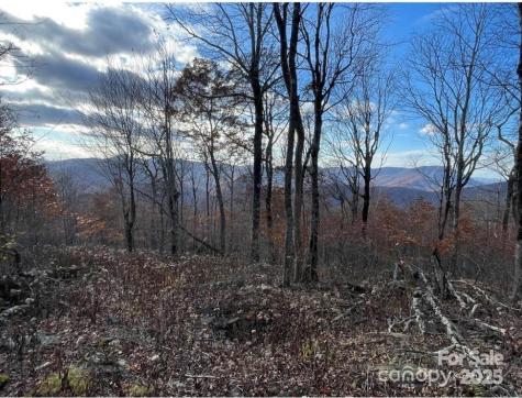 Lot 16 Crown Point Road West Jefferson NC 28695