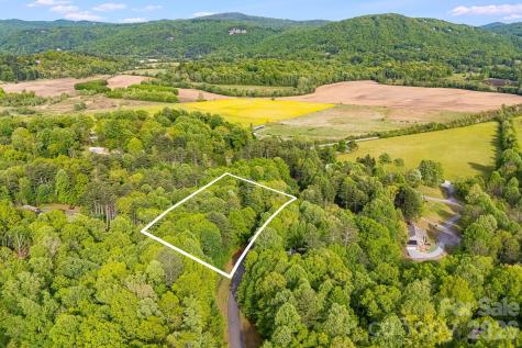 0000 Newcastle Road Brevard NC 28712