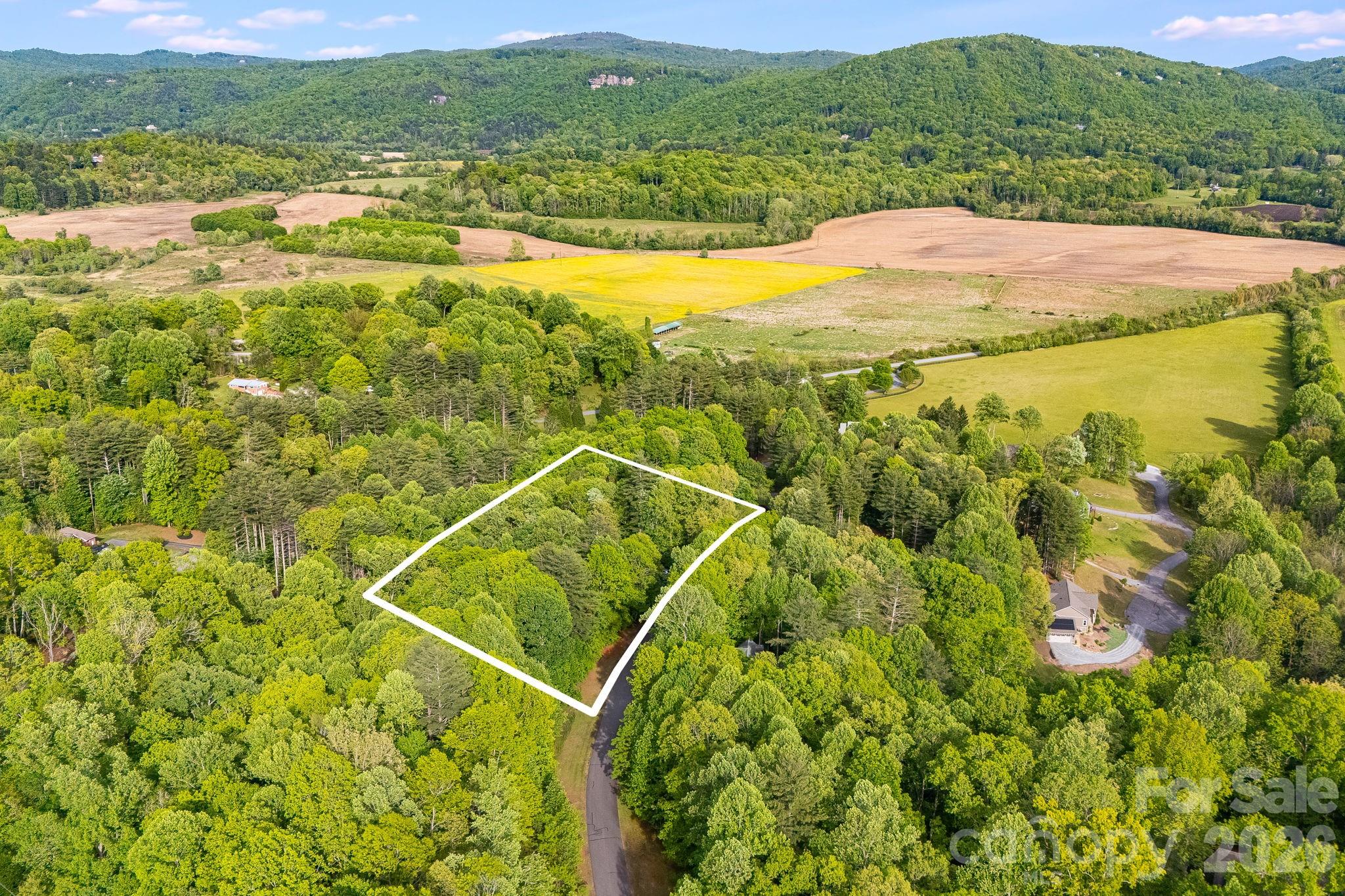 0000 Newcastle Road Brevard NC 28712
