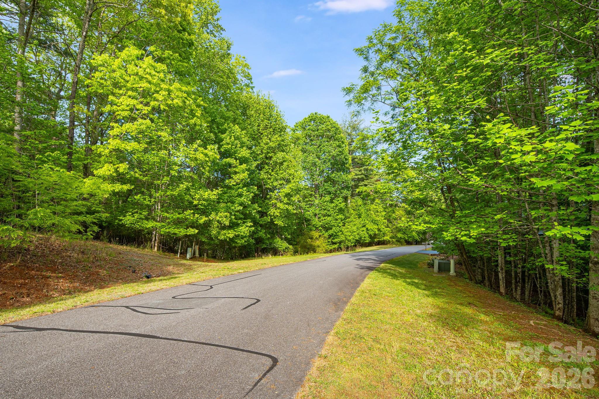0000 Newcastle Road Brevard NC 28712