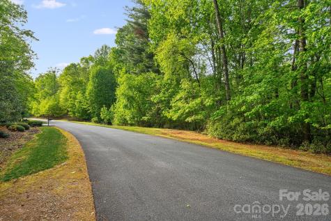 0000 Newcastle Road Brevard NC 28712