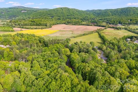 0000 Newcastle Road Brevard NC 28712