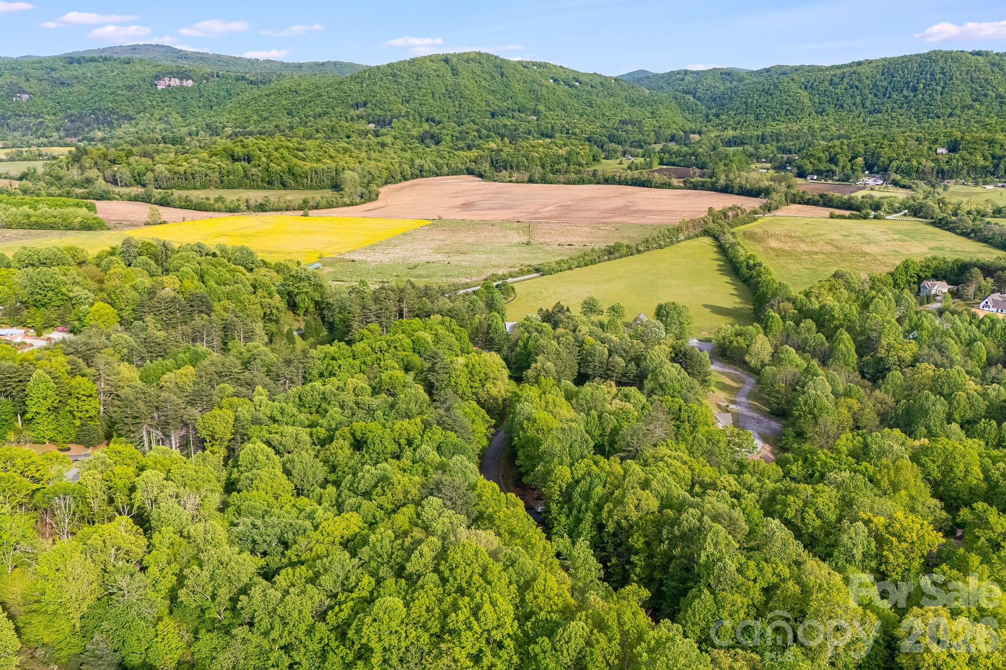 0000 Newcastle Road Brevard NC 28712