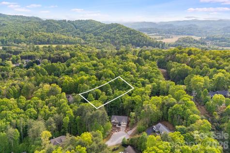 0000 Newcastle Road Brevard NC 28712