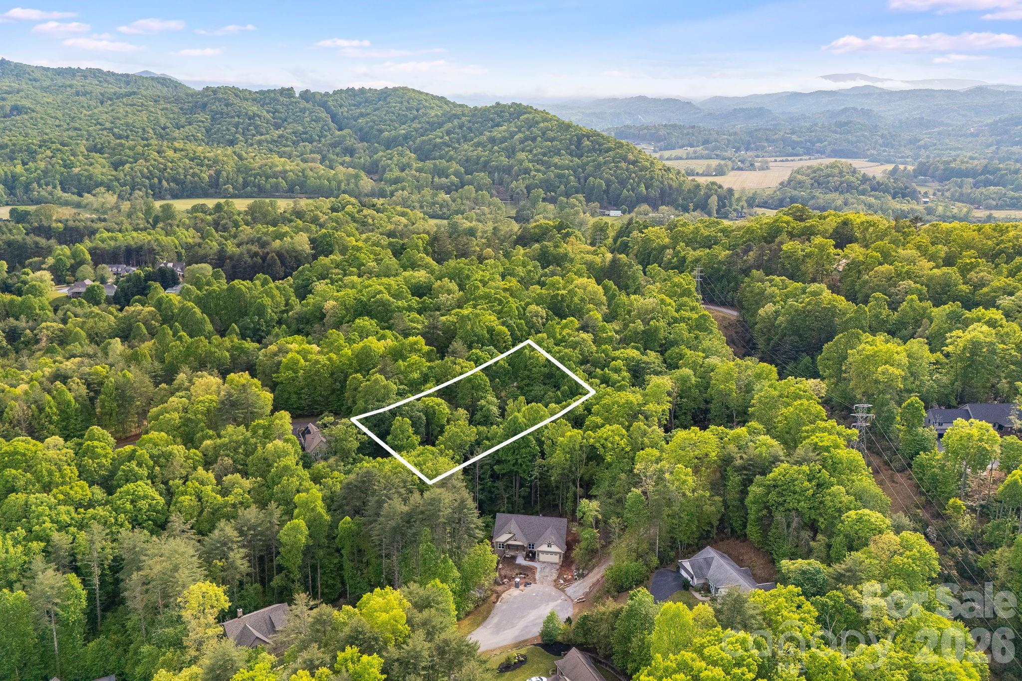 0000 Newcastle Road Brevard NC 28712
