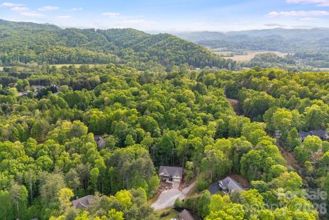 0000 Newcastle Road Brevard NC 28712