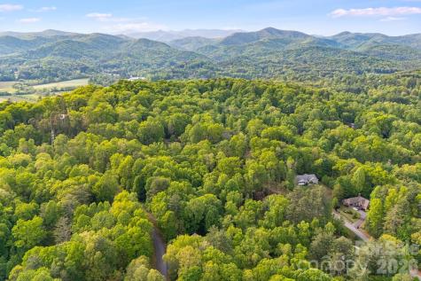 0000 Newcastle Road Brevard NC 28712