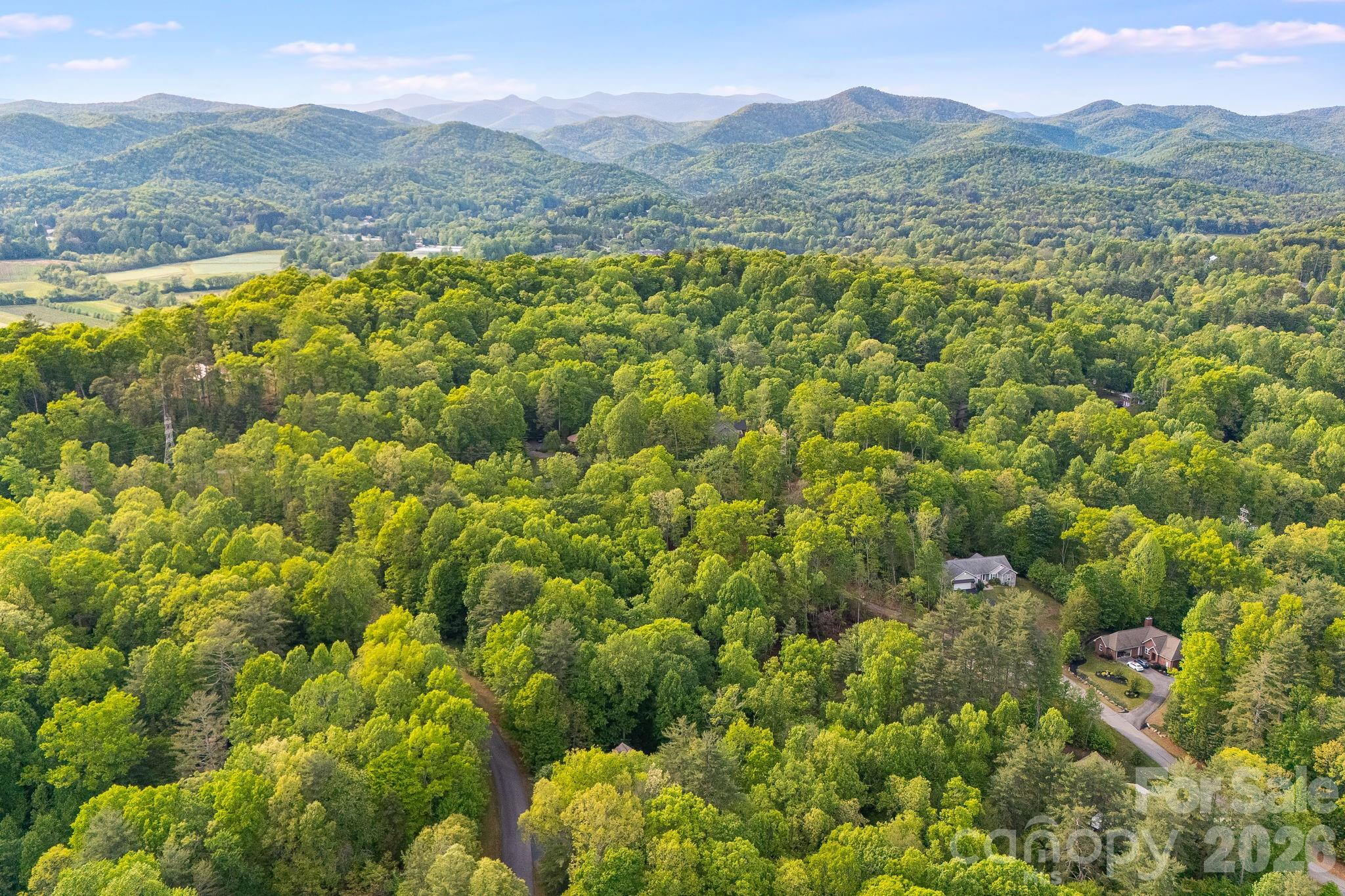 0000 Newcastle Road Brevard NC 28712