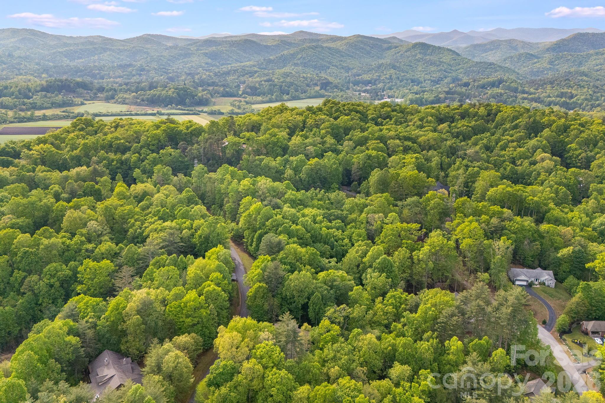 0000 Newcastle Road Brevard NC 28712