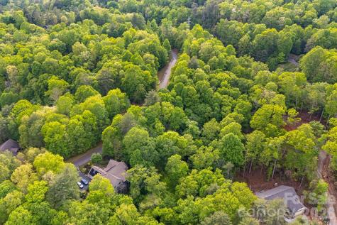 0000 Newcastle Road Brevard NC 28712