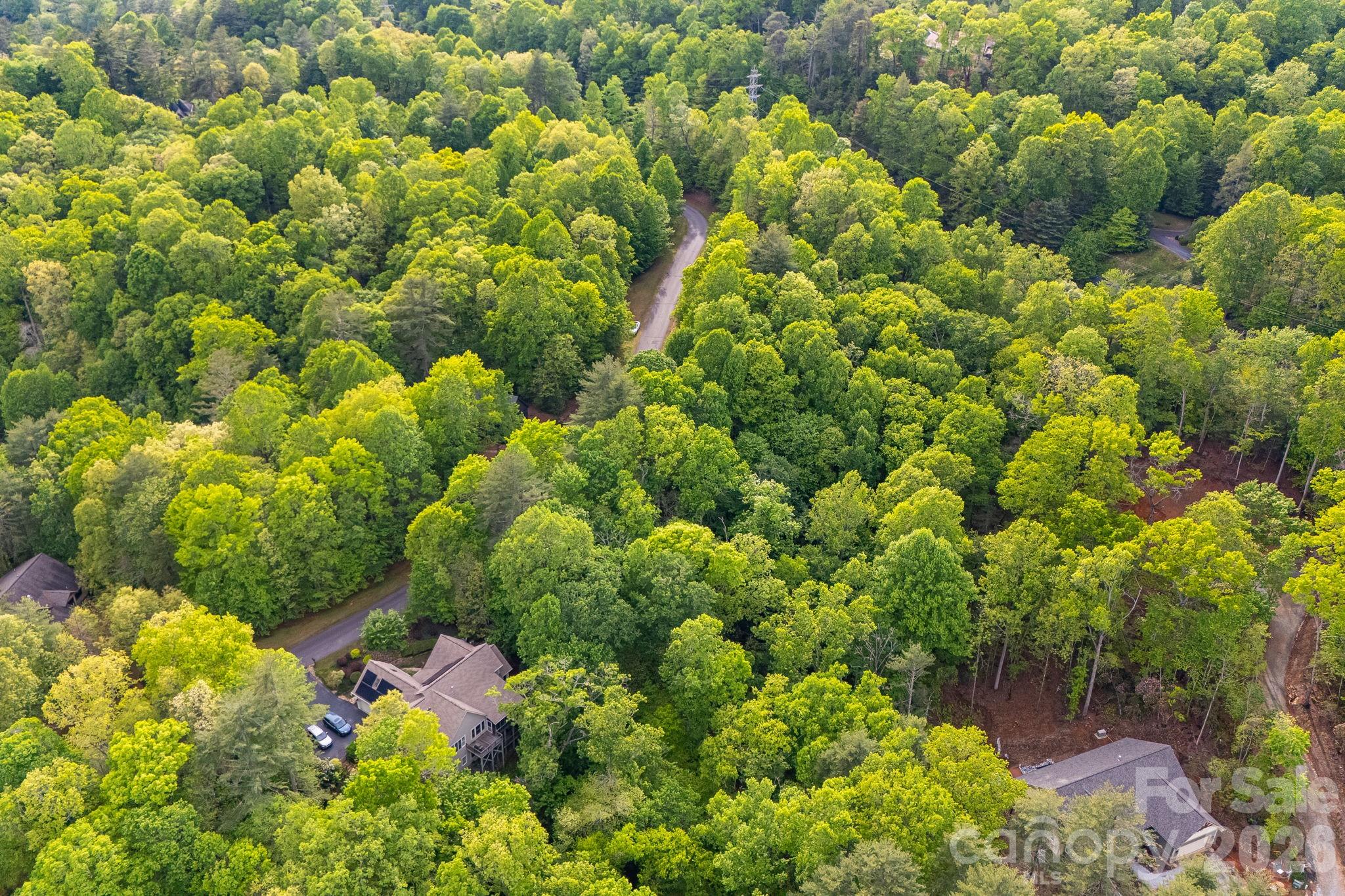 0000 Newcastle Road Brevard NC 28712