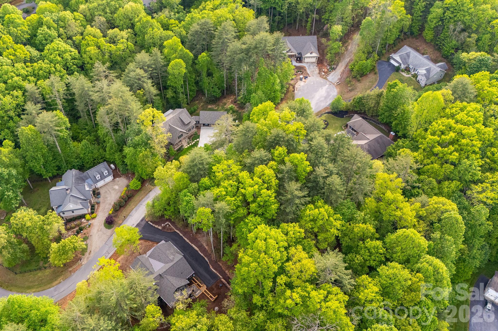 0000 Newcastle Road Brevard NC 28712