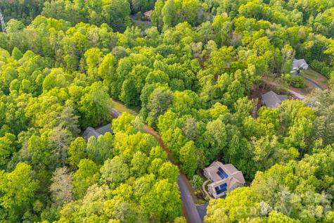 0000 Newcastle Road Brevard NC 28712