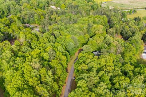 0000 Newcastle Road Brevard NC 28712