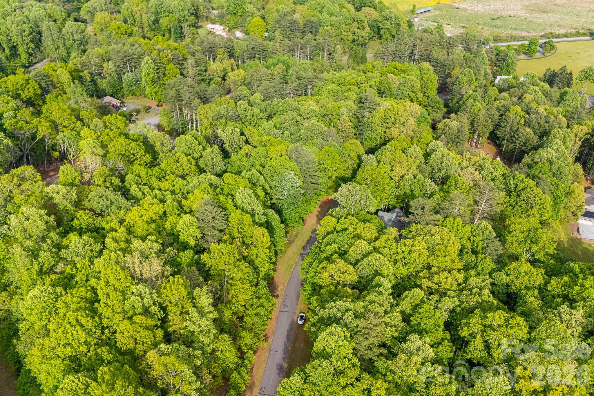 0000 Newcastle Road Brevard NC 28712