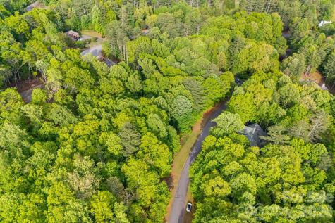 0000 Newcastle Road Brevard NC 28712