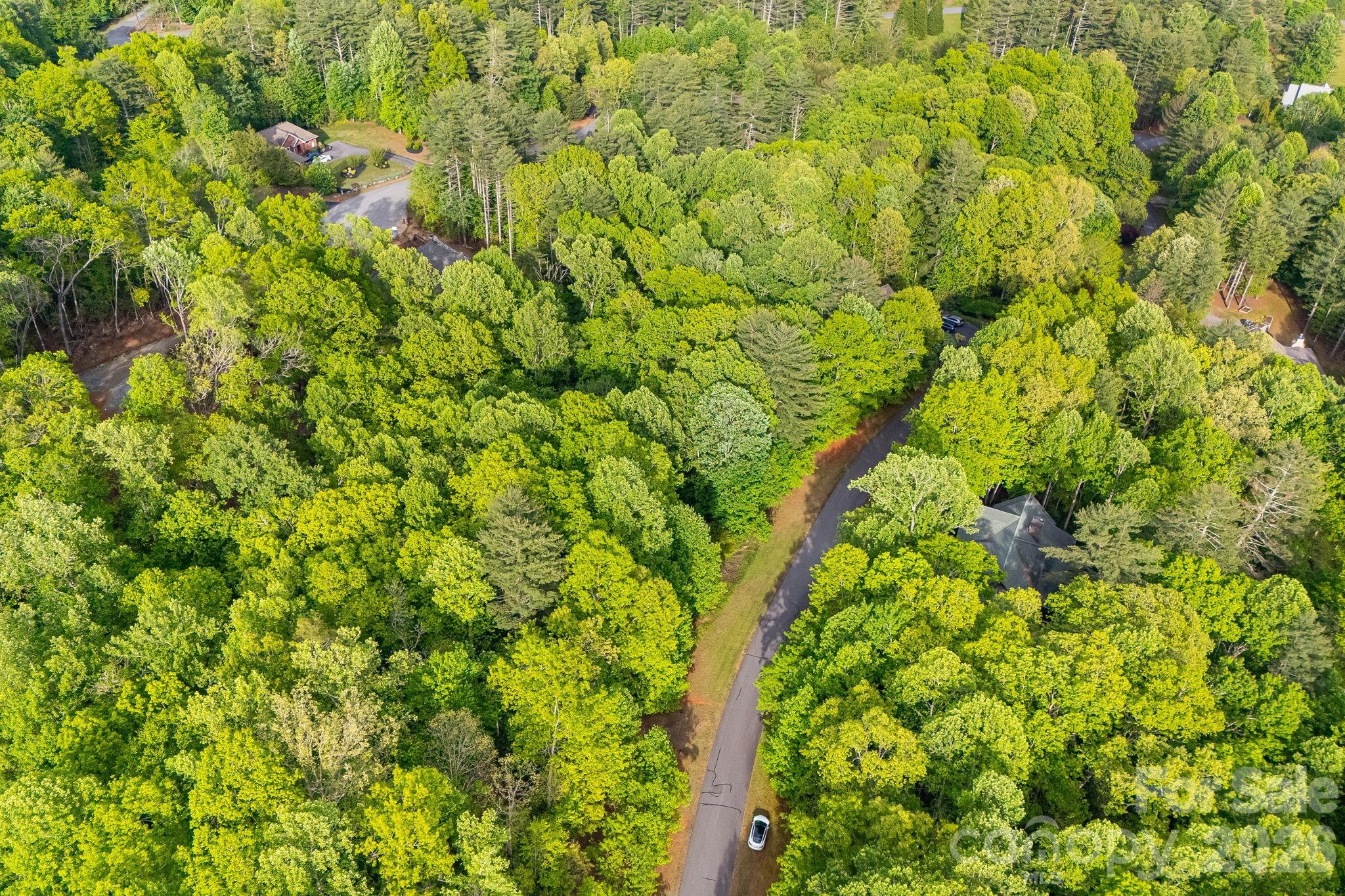 0000 Newcastle Road Brevard NC 28712