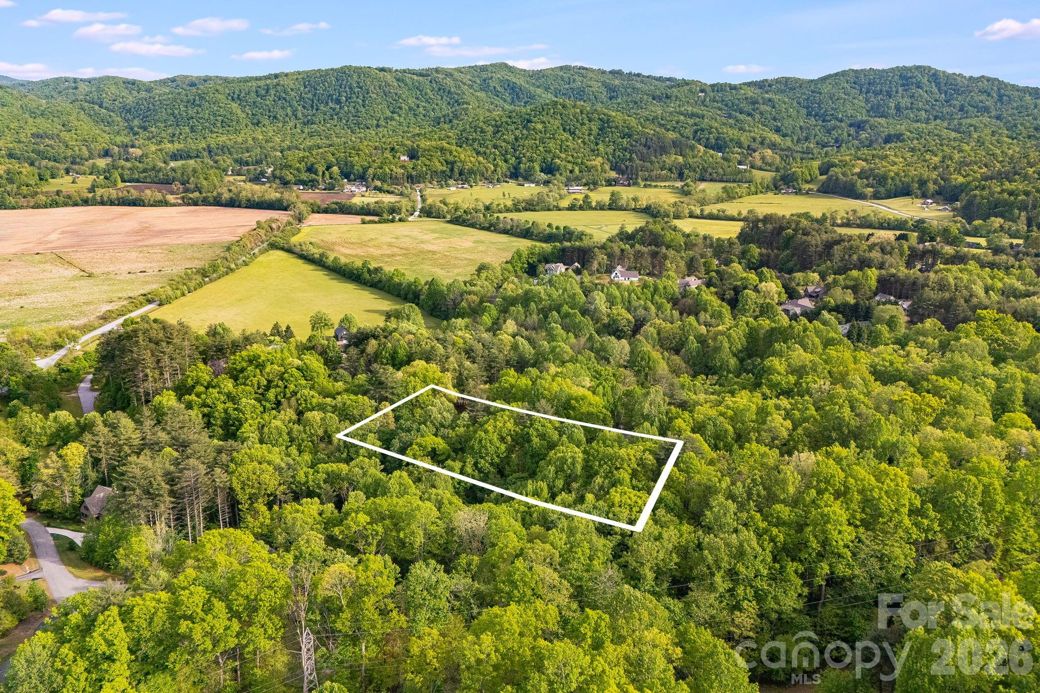 0000 Newcastle Road Brevard NC 28712