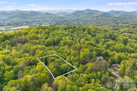 0000 Newcastle Road Brevard NC 28712