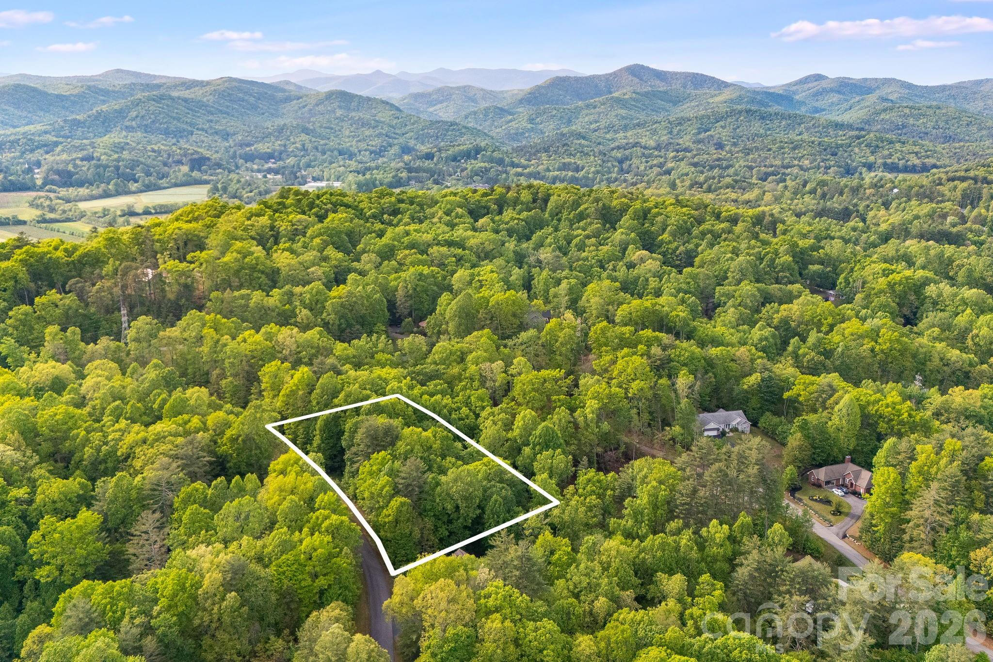 0000 Newcastle Road Brevard NC 28712