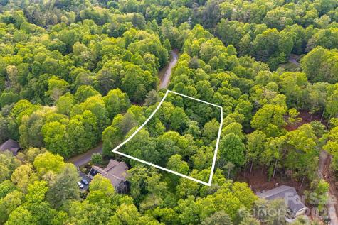 0000 Newcastle Road Brevard NC 28712