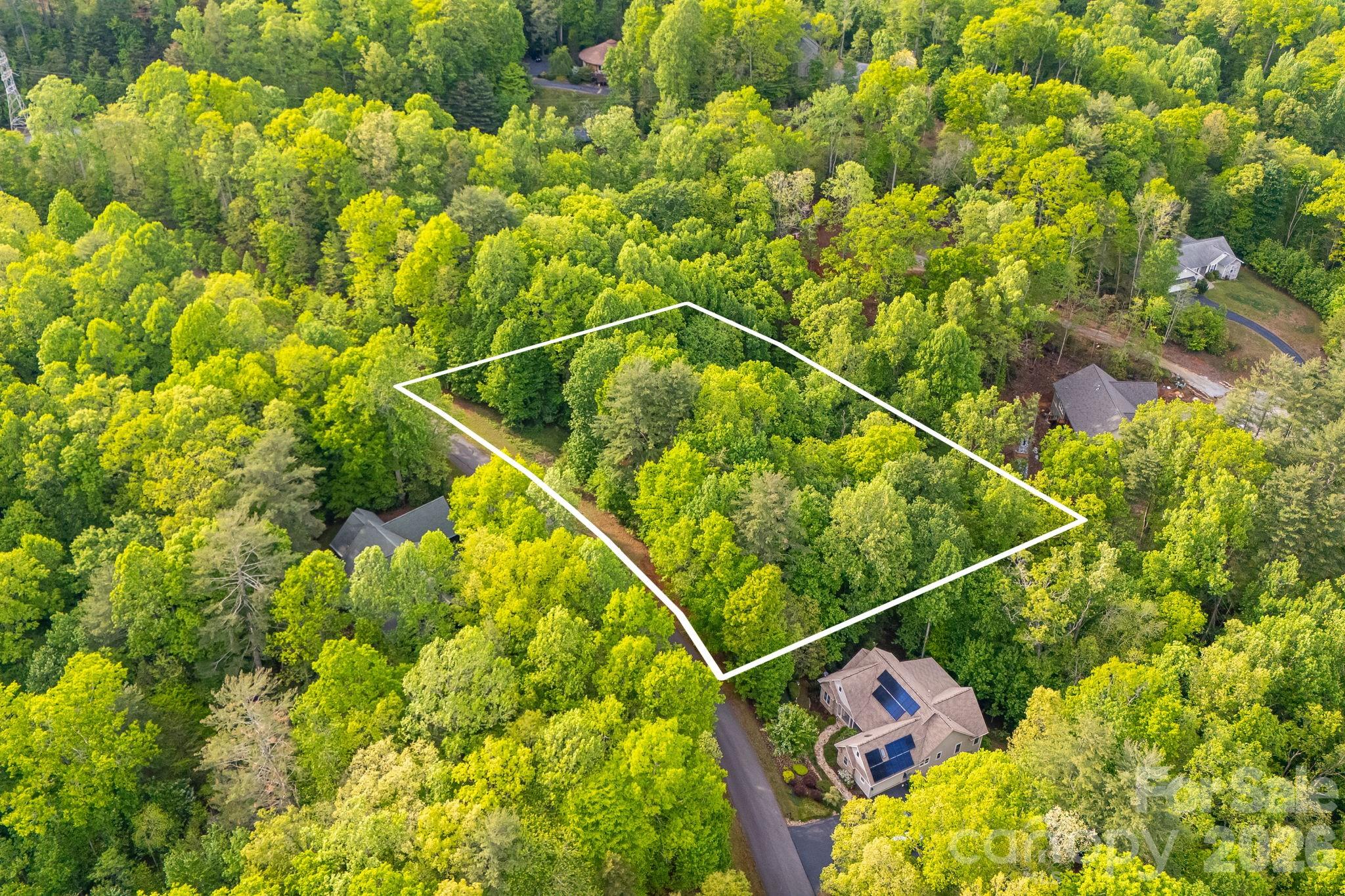 0000 Newcastle Road Brevard NC 28712