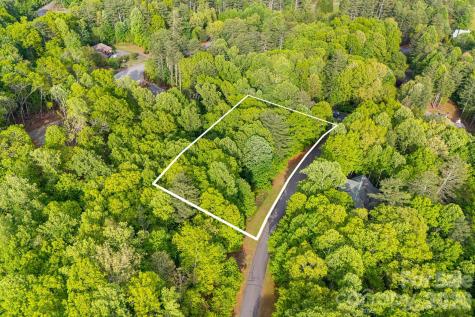 0000 Newcastle Road Brevard NC 28712