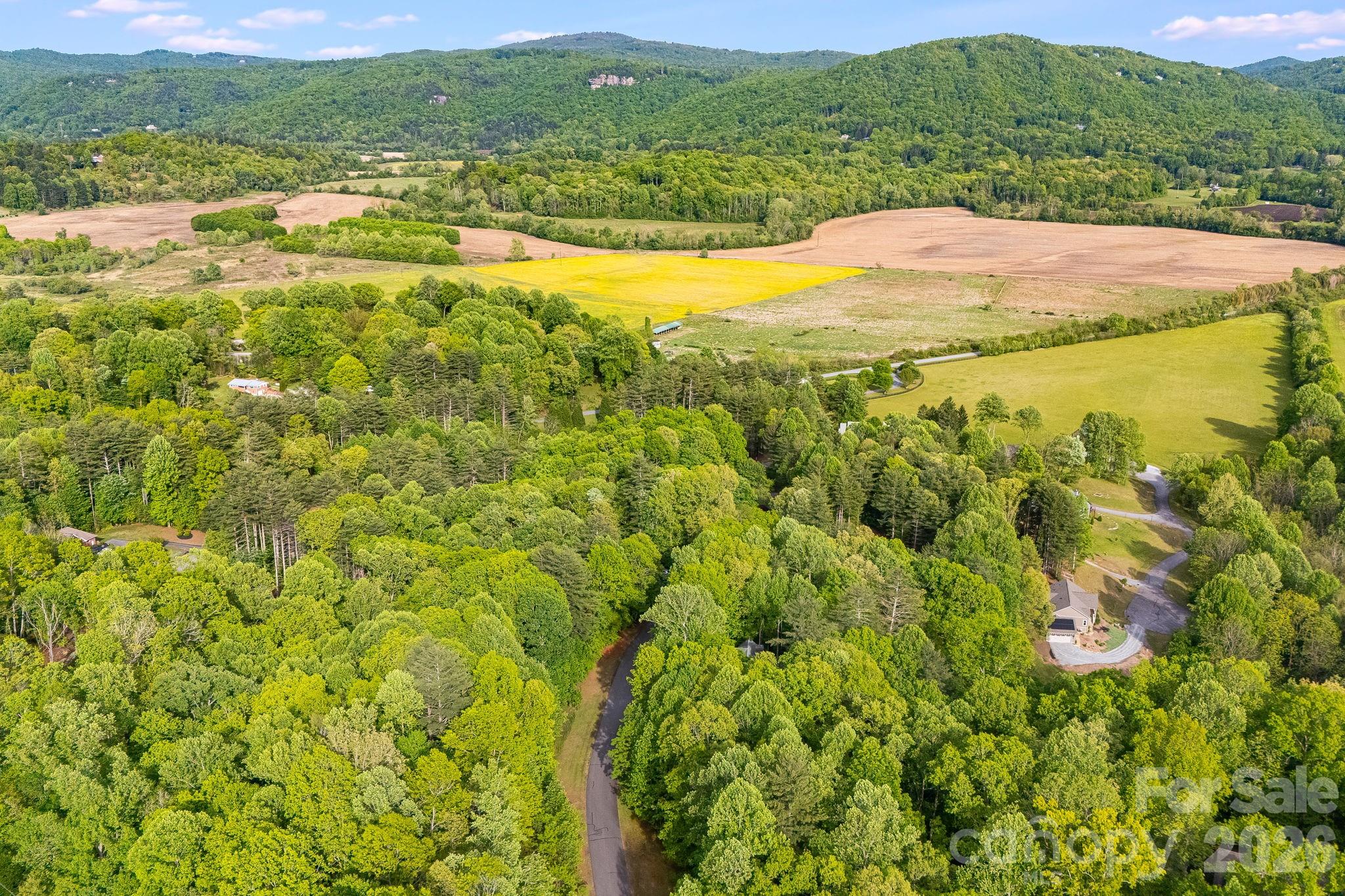 0000 Newcastle Road Brevard NC 28712