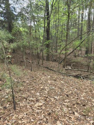 2093 Lometa Road York SC 29745