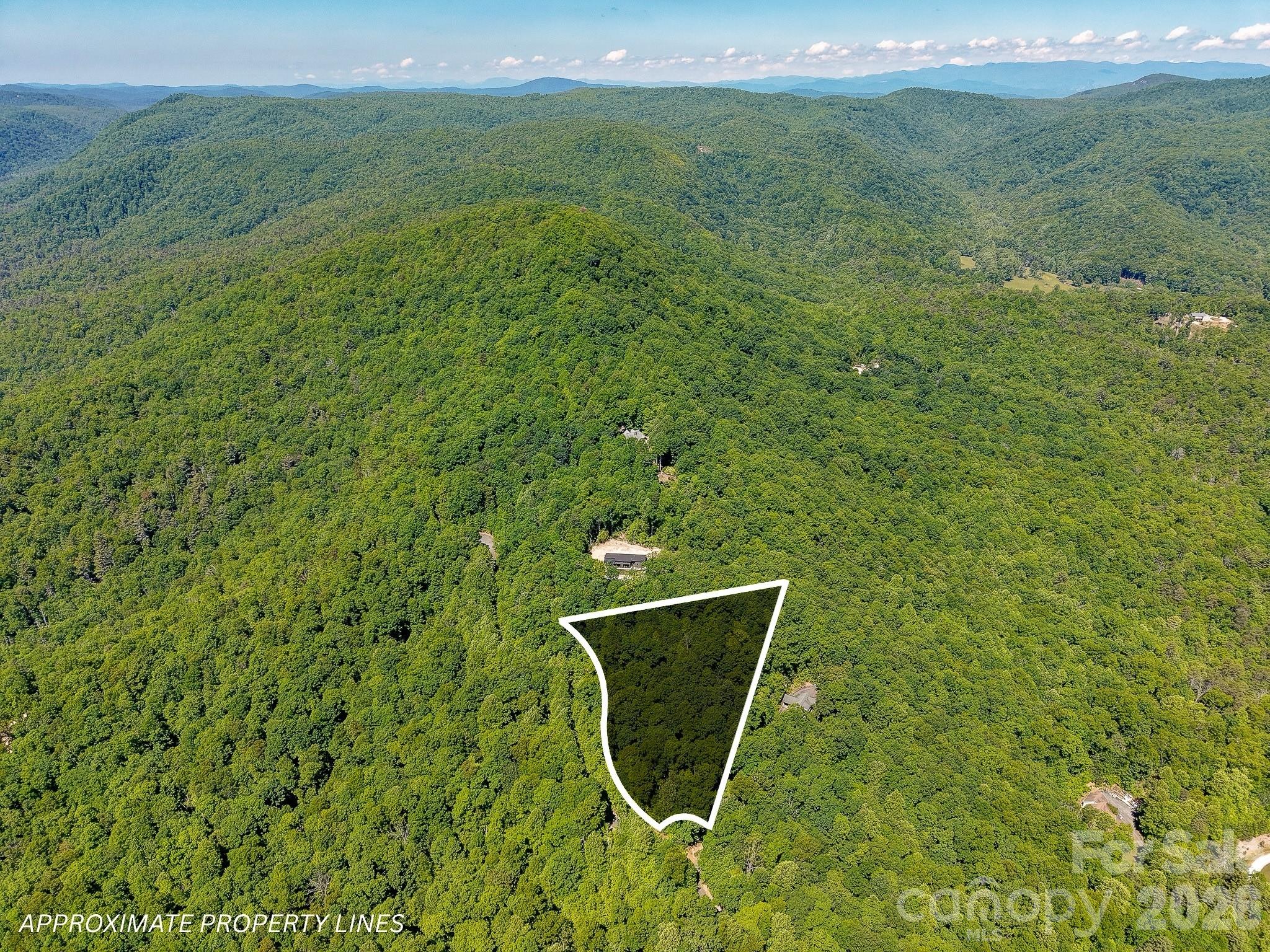 99999 Black Bear Ridge Trail Zirconia NC 28790