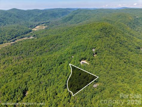99999 Black Bear Ridge Trail Zirconia NC 28790