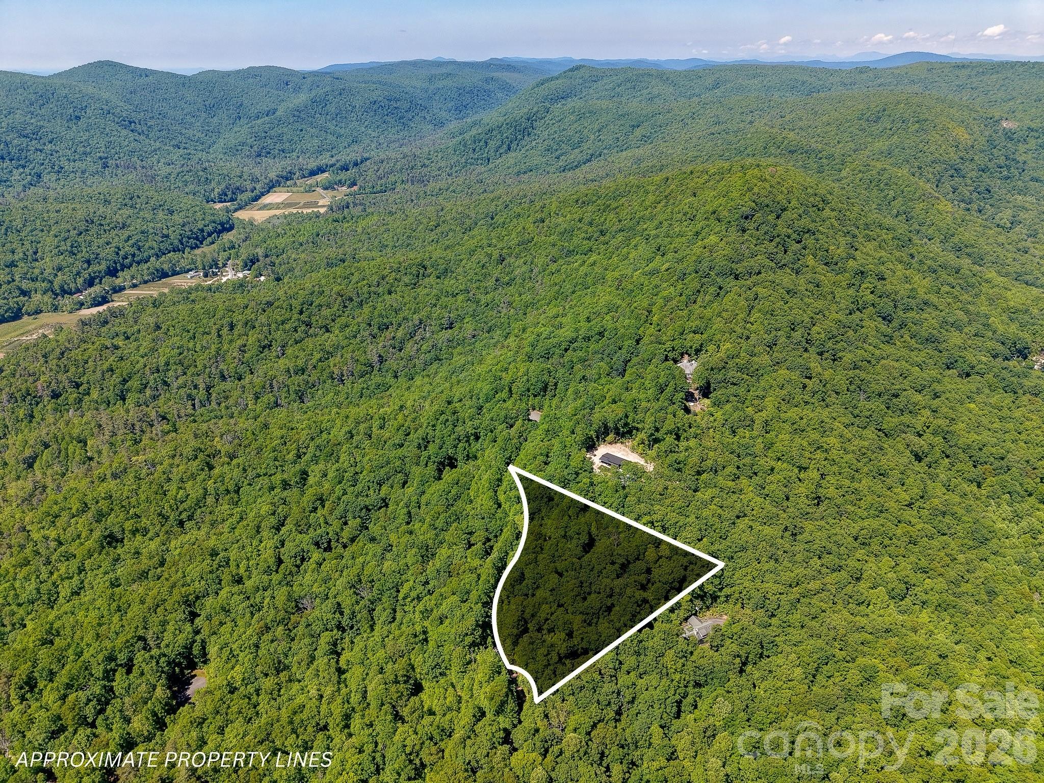 99999 Black Bear Ridge Trail Zirconia NC 28790