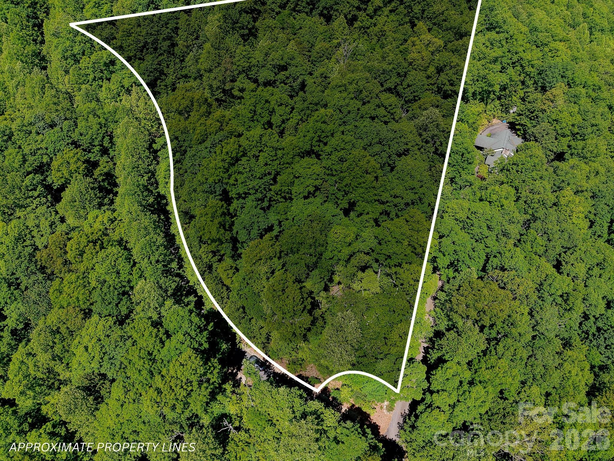 99999 Black Bear Ridge Trail Zirconia NC 28790