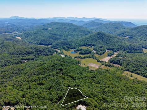 99999 Black Bear Ridge Trail Zirconia NC 28790