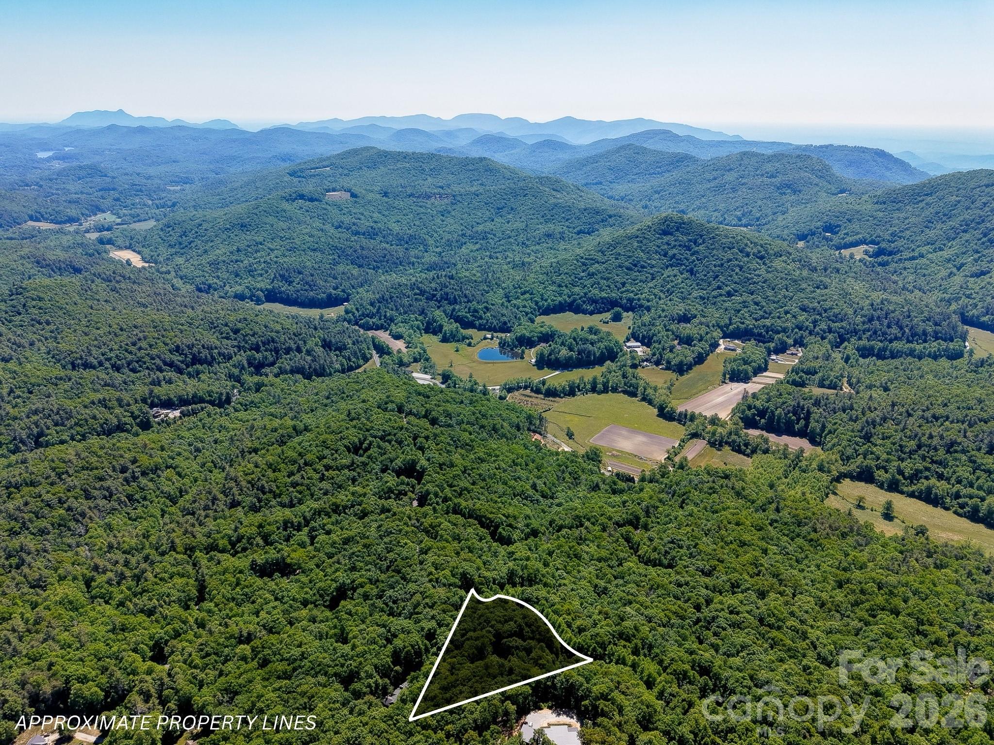 99999 Black Bear Ridge Trail Zirconia NC 28790