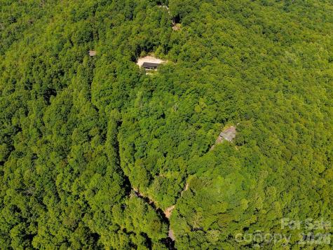 99999 Black Bear Ridge Trail Zirconia NC 28790