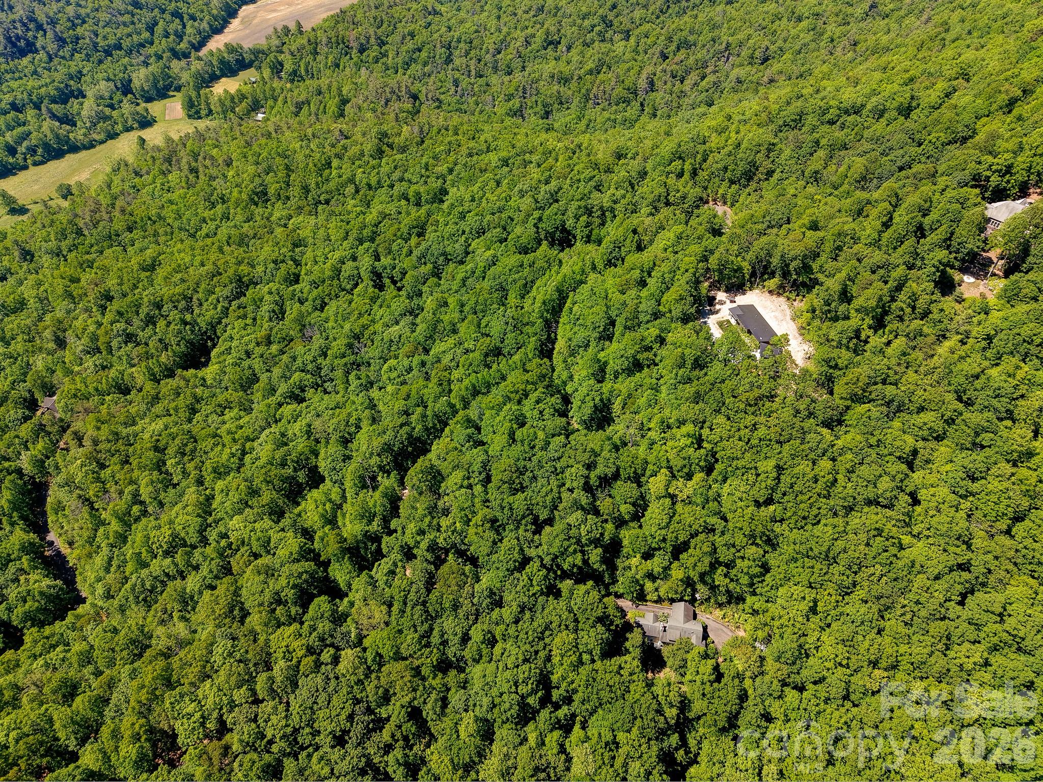 99999 Black Bear Ridge Trail Zirconia NC 28790