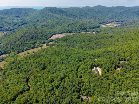 99999 Black Bear Ridge Trail Zirconia NC 28790