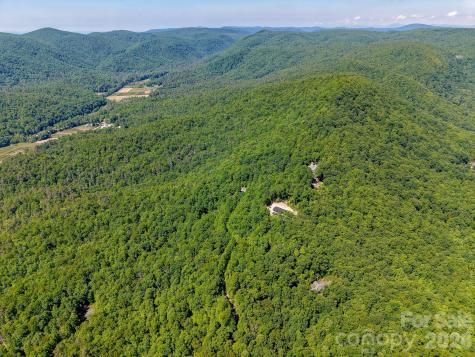 99999 Black Bear Ridge Trail Zirconia NC 28790