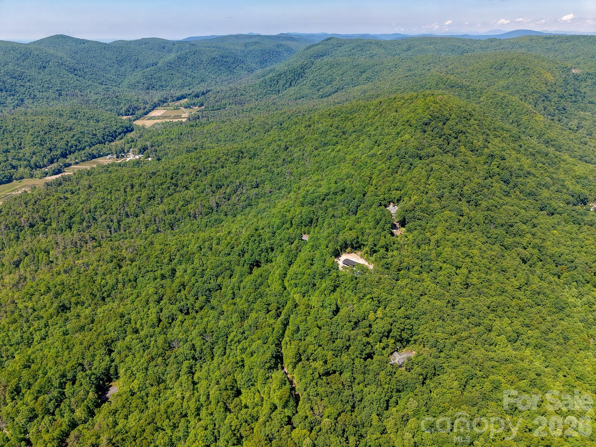 99999 Black Bear Ridge Trail Zirconia NC 28790