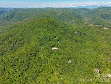 99999 Black Bear Ridge Trail Zirconia NC 28790