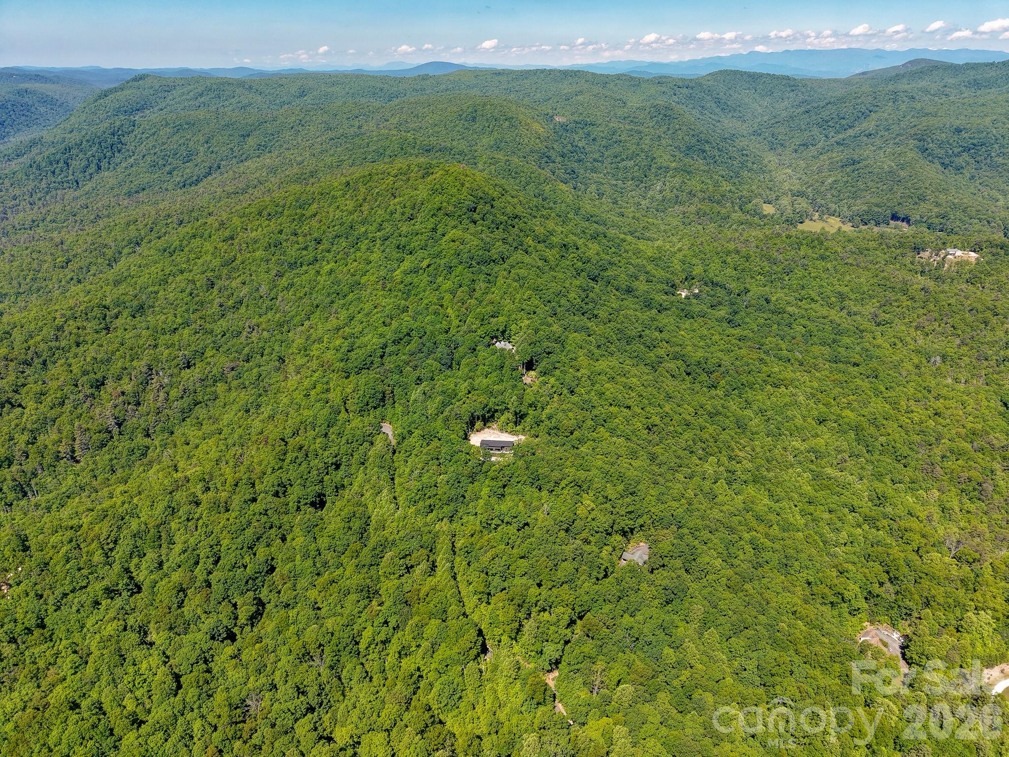 99999 Black Bear Ridge Trail Zirconia NC 28790