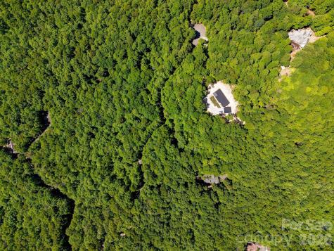 99999 Black Bear Ridge Trail Zirconia NC 28790