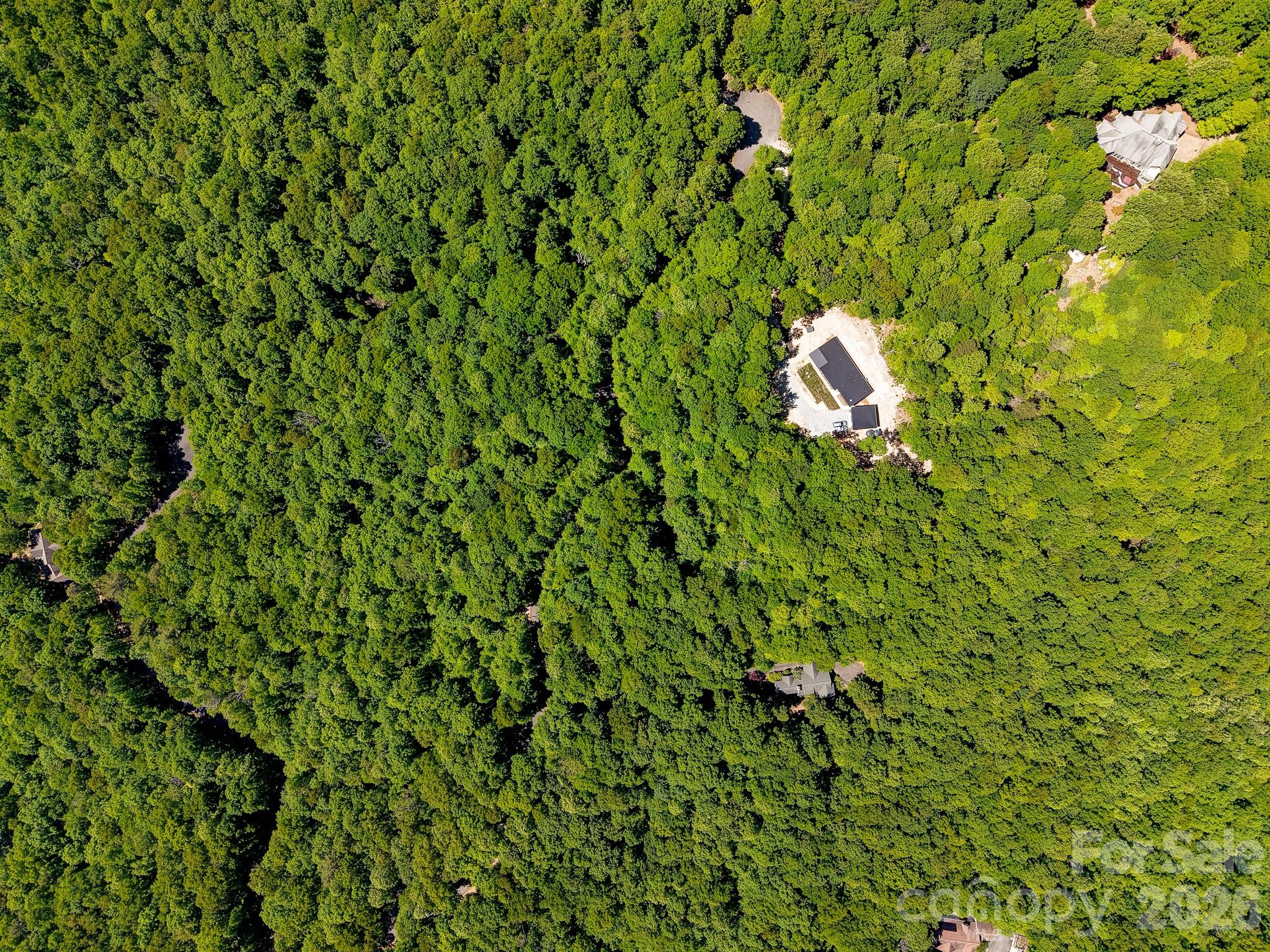 99999 Black Bear Ridge Trail Zirconia NC 28790