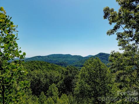 99999 Black Bear Ridge Trail Zirconia NC 28790