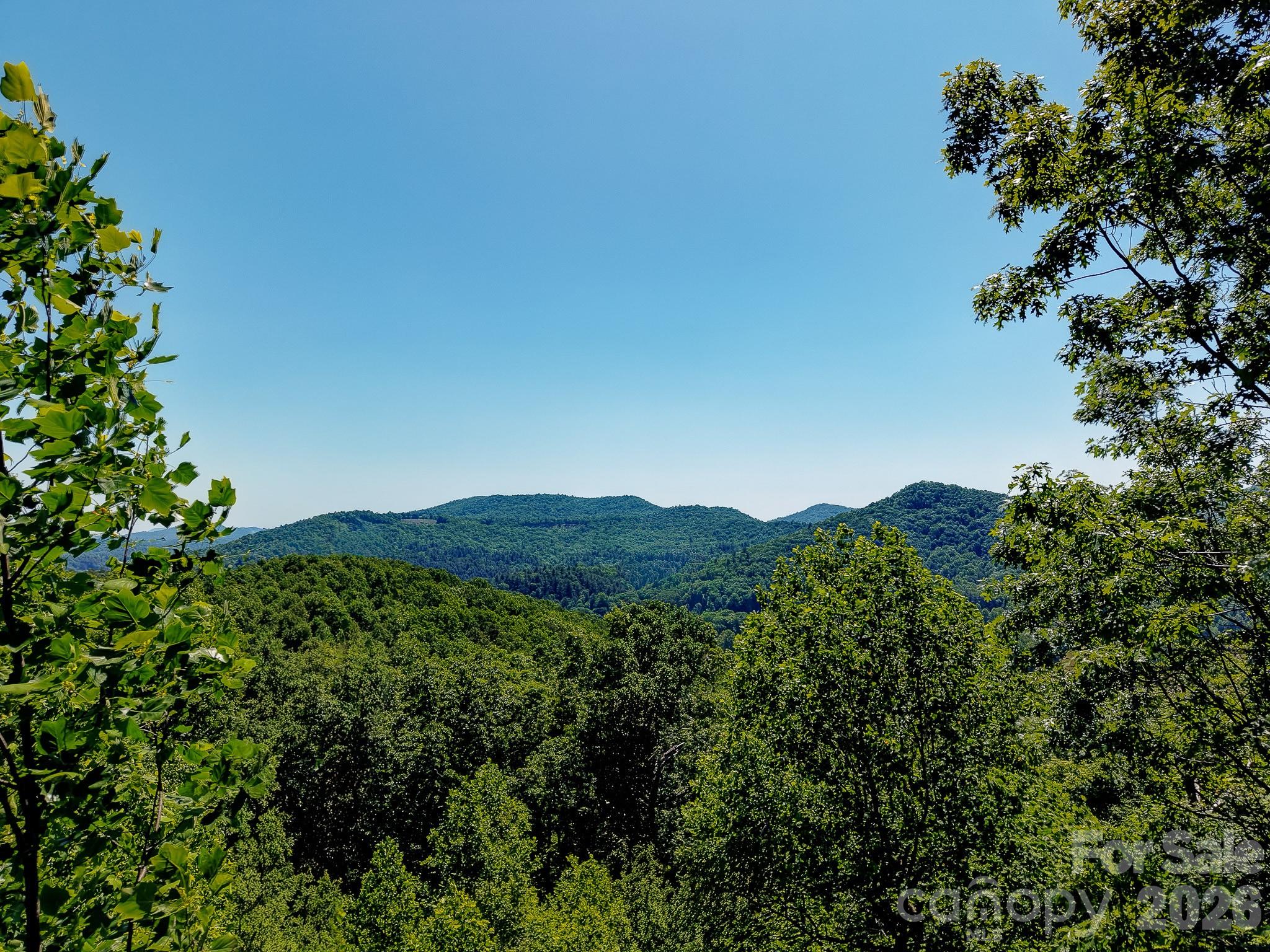 99999 Black Bear Ridge Trail Zirconia NC 28790