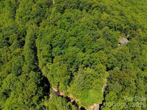 99999 Black Bear Ridge Trail Zirconia NC 28790