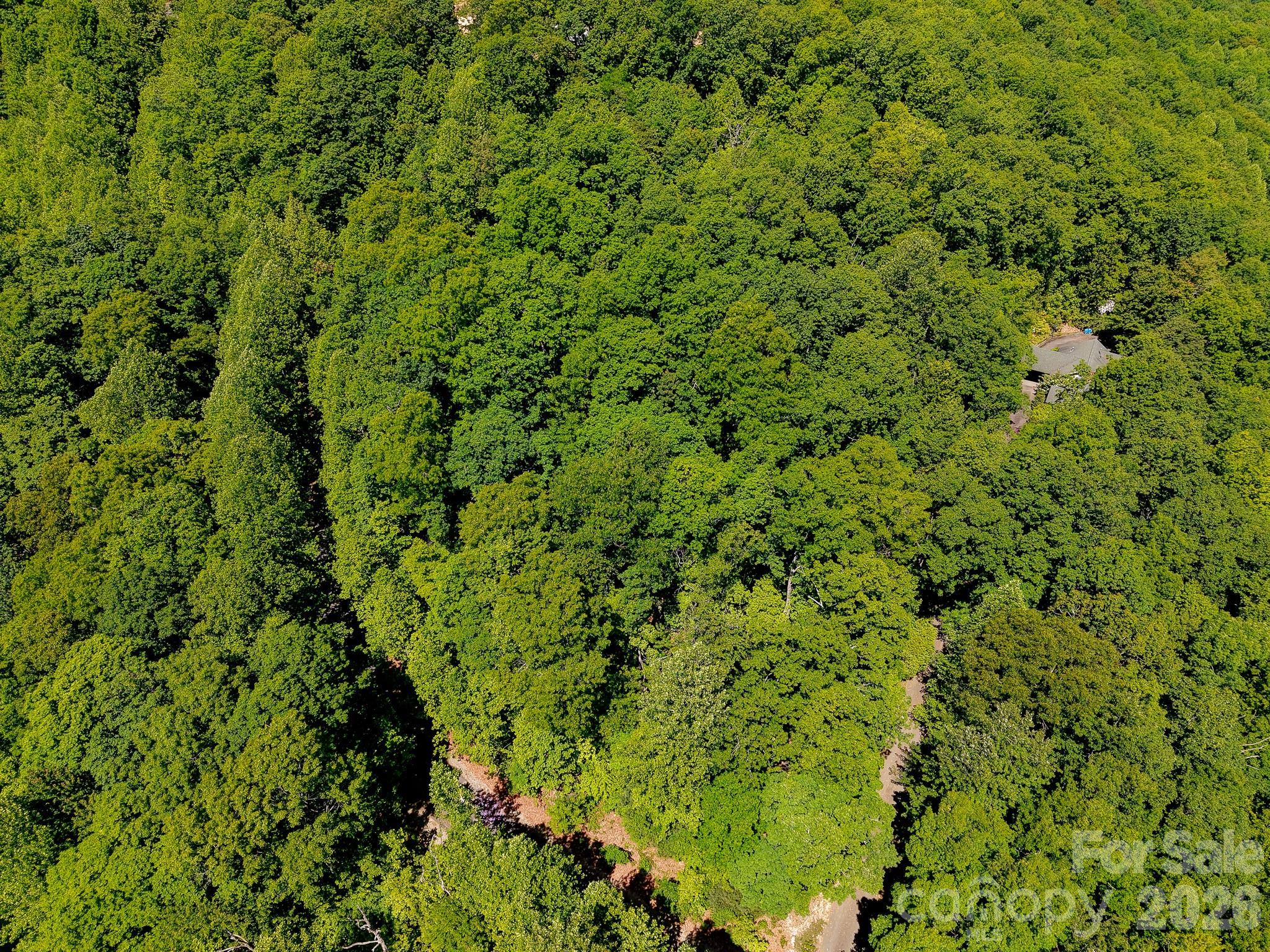99999 Black Bear Ridge Trail Zirconia NC 28790