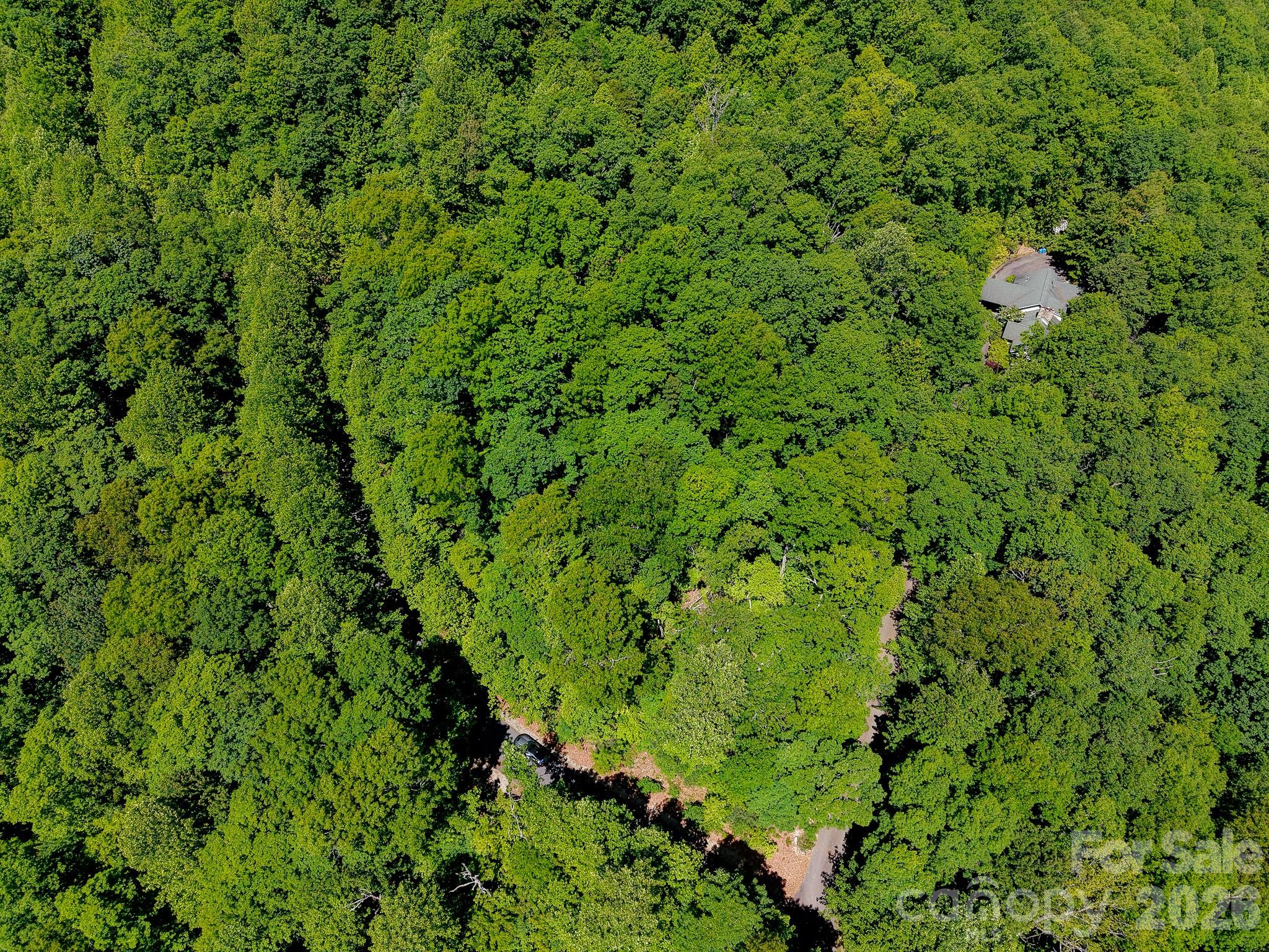 99999 Black Bear Ridge Trail Zirconia NC 28790