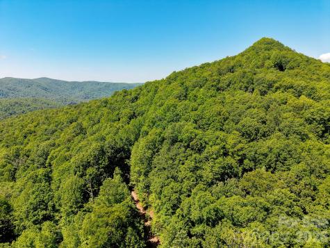 99999 Black Bear Ridge Trail Zirconia NC 28790